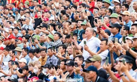 Hàng vạn người đổ về Đồ Sơn xem chọi trâu