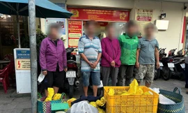 TP.HCM: Triệt phá ổ tiêu thụ chó, mèo nghi trộm cắp gây bức xúc dư luận