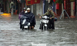 Bí thư Hải Phòng đi thị sát, yêu cầu làm gấp các dự án ứng phó biến đổi khí hậu 