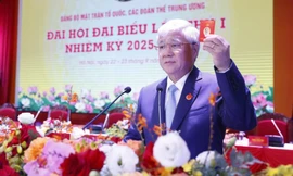 Đại hội Đảng bộ Mặt trận Tổ quốc, các đoàn thể Trung ương tiến hành phiên trù bị