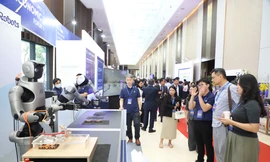 TPHCM thu ngân sách vượt mức Trung ương giao, du lịch góp công