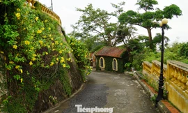 Lạ mắt lối đi mới dẫn vào khu vực dinh thự vua Bảo Đại ở Đồ Sơn