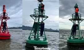 Những điển hình tiên tiến Bảo đảm an toàn hàng hải Việt Nam