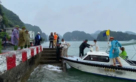 Hải Phòng cấm biển, dừng phà tránh bão số 5