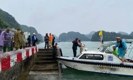 Hải Phòng cấm biển, Ninh Bình dừng các cuộc họp không cần thiết