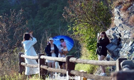 Du khách mê đắm check-in ở Cát Bà