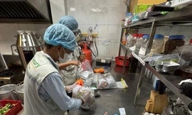 Công an phát hiện hơn 30 tấn thực phẩm, nội tạng không rõ nguồn gốc ở TPHCM 