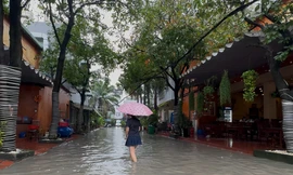 'Nỗi ám ảnh' sau mưa của người dân TPHCM những ngày qua