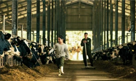 Lễ ra mắt thương hiệu Mộc Châu Creamery