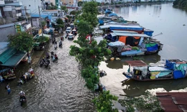 TP.HCM đang 'chìm dần' vì lún sụt