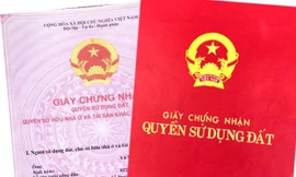 Hơn 2 triệu trường hợp thiếu thông tin đất đai sau hợp nhất, TPHCM kêu gọi phối hợp