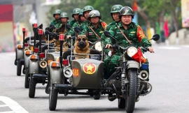 Những chiến binh đi đầu, biến khó thành dễ