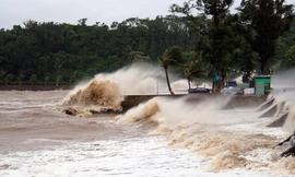 Hải Phòng khẩn cấp lên phương án ứng phó bão Ragasa