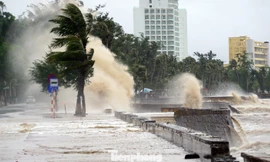 Hải Phòng cấm biển ứng phó bão số 11