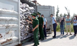 29,8 tấn phế liệu kim loại nhập trái phép vào cảng Hải Phòng