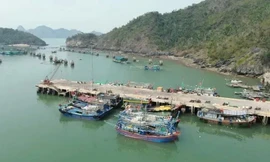 Hải Phòng: Khởi tố phó giám đốc doanh nghiệp cưỡng đoạt tài sản của đối tác