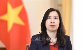 Ngoại giao nỗ lực góp phần gắn kết đồng bào ta ở trong và ngoài nước