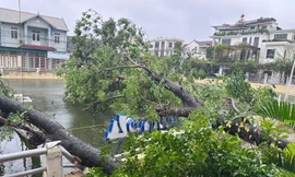 Tâm bão số 5 trên đất liền Nghệ An-Hà Tĩnh, gió giật cấp 13