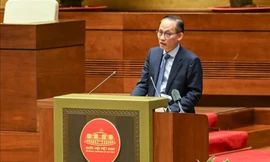 Trụ cột chiến lược của Việt Nam trong giai đoạn mới