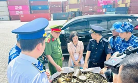 Điều tra vụ nhập lậu hơn 25 tấn vỏ đạn quân dụng về cảng Hải Phòng