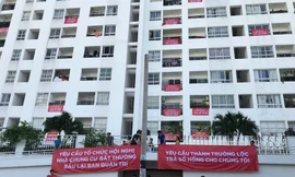 Tranh chấp chung cư không thể giải quyết bằng các quy định 'chắp vá'