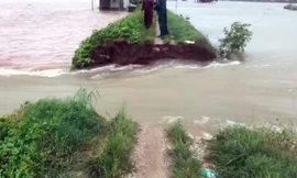 Hải Phòng: Vỡ đê bối, cấm phương tiện qua cầu do nước sông dâng cao