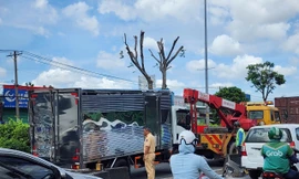 Xe tải 'húc' nhau gây kẹt xe nghiêm trọng trên đường Đỗ Mười