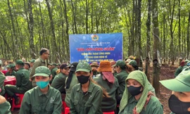 BÀI 6: Lộc Ninh – Bữa cơm nghĩa tình giữa rừng cao su