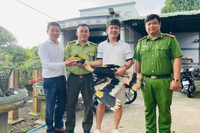 Đang tưới cây, con chim màu đen bay vào, không ngờ là Hồng Hoàng quý hiếm