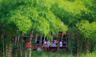 Chiến lược 'xanh hóa' mở đường cho du lịch Khánh Hòa phát triển bền vững