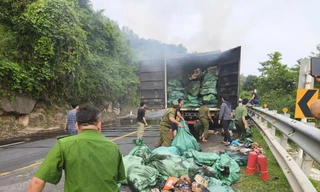 Container bốc cháy trên quốc lộ 1, tài xế hoảng hốt tấp vào lề cầu cứu