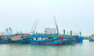 Khánh Hòa cấm tàu thuyền, khẩn cấp điều tiết hồ chứa đối phó bão Kalmaegi