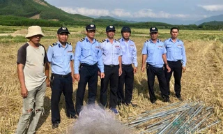 5 năm qua có 514 vụ săn bắt chim yến trái phép bị phát hiện.