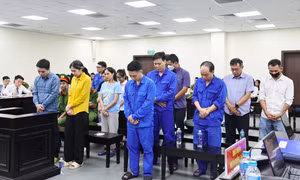 Nhận hối lộ của trùm thực phẩm giả, hai cựu cán bộ hải quan bị tuyên phạt 13 năm tù