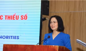Tăng cường năng lực cho người thực hiện trợ giúp pháp lý cho nạn nhân bạo lực gia đình, người dân tộc thiểu số