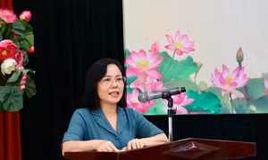 Tiêu chuẩn của trợ giúp viên pháp lý tương đương với tiêu chuẩn của luật sư