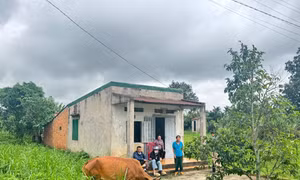 Người dân phấn khởi khi được trao bò giống để phát triển sinh kế.