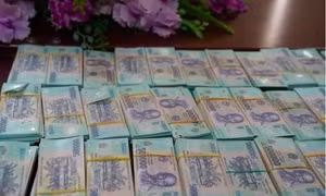 Lừa đảo tiền tỷ ‘chạy’ tại ngoại chủ doanh nghiệp phạm tội lừa đảo 