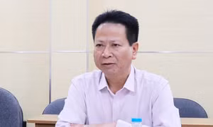 Cựu Cục phó nhận hối lộ kéo theo cả bộ máy cấp dưới sai phạm