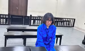 Lừa mang thai hộ, chiếm đoạt hơn 1 tỷ đồng của cặp đôi hiếm muộn 