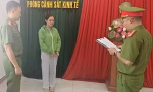 Nữ Giám đốc “phù phép” hơn 560 hóa đơn khống