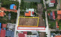 Hải Phòng: Tự lấp ruộng, mở đường để phân lô bán đất 