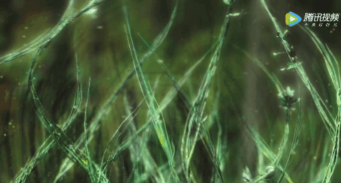 Dù nghèo cũng phải đầu tư cho kỹ xảo nha! Dù nghèo cũng phải đầu tư cho kỹ xảo nha!