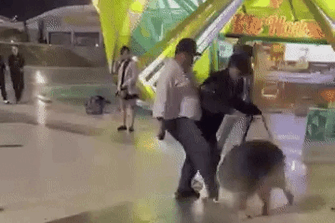 Hành động ngược đãi, đánh đập các chú chó cảnh đã khiến nhiều người phẫn nộ. Hành động ngược đãi, đánh đập các chú chó cảnh đã khiến nhiều người phẫn nộ.