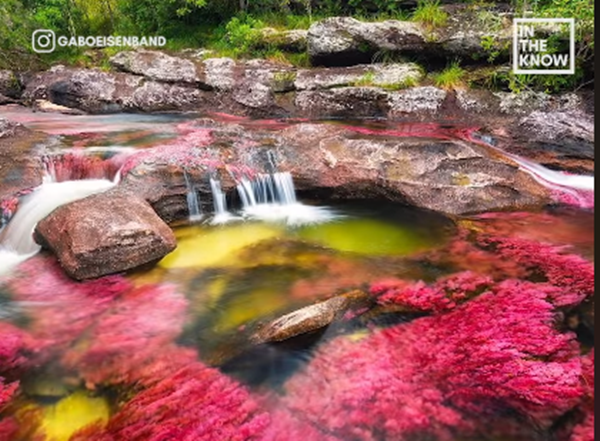 Vào mỗi dịp từ tháng 6 đến tháng 12, khách du lịch lại được thưởng ngoạn vẻ đẹp kỳ vĩ của dòng sông bảy sắc cầu vồng Caño Cristales ở Colombia.