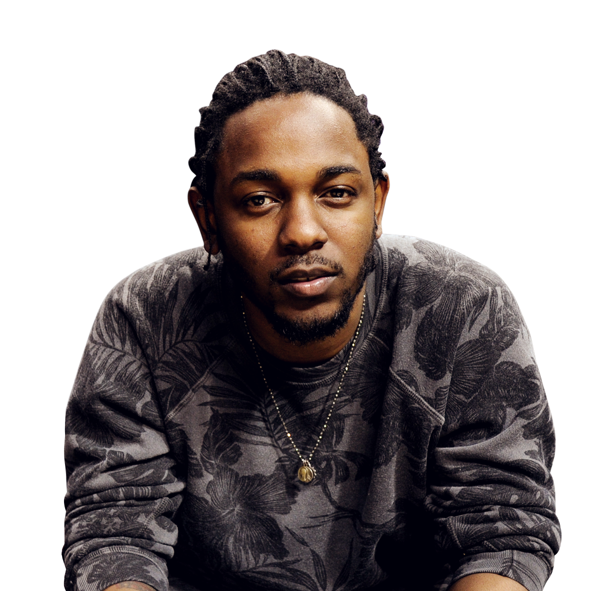 Kendrick đang nhận được nhiều sự kì vọng từ công chúng và họ tin rằng anh xứng đáng với giải thưởng này.