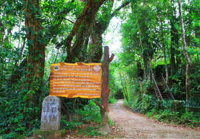 Đỉnh Bạch Mã km số 0