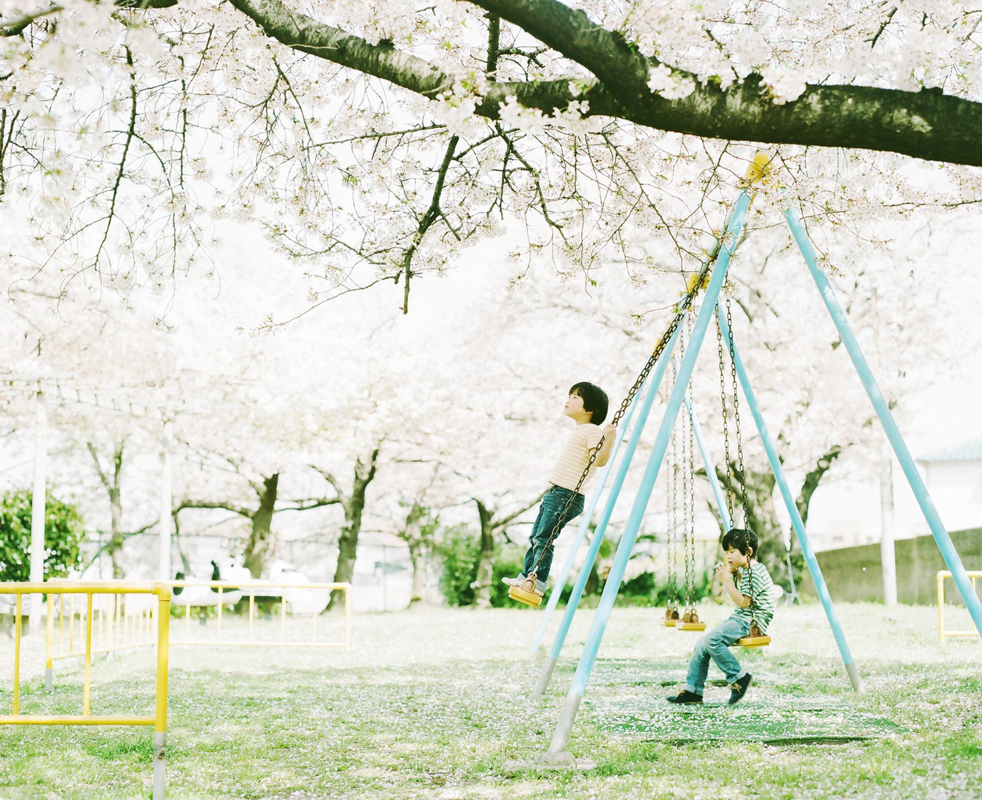 Ảnh minh họa: Hideaki Hamada.