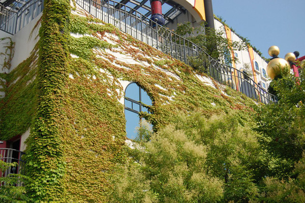 Thảm thực vật xanh mướt phủ kín bên ngoài.