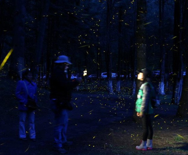 Ảnh: Democratic, Edgard Garrido.